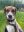 C9171598-6431-4655-BA87-B8744CDDDCB1.jpeg