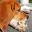 IMG_20190320_150651_547.jpg