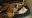 20200203_214518.jpg