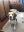 Jimmy03_2020-06-18.jpg