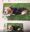 Jimmy5_2021-03-09.jpg