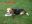 Jimmy_01_2021-03-09.jpg