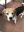 Jimmy_1_2019-06-17.jpg