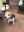 Jimmy_2_2019-06-17.jpg