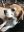 Jimmy_3_2019-06-17.jpg