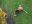 22D455D7-FC1F-4FFF-BE92-05866EBF1E3F.jpeg