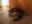 C974027B-4689-42F7-A569-945D699F2BFE.jpeg