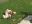 D3C660C8-0E98-46FD-A6B8-4B96113E9EDB.jpeg