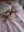20220330_074826.jpg