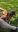 IMG-20180422-WA0003-2.jpg