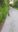 IMG-20180710-WA0014.jpg