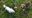 IMG-20180722-WA00011.jpg