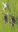 IMG-20180722-WA0004.jpg