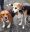 IMG-20191114-WA0004.jpg