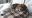 IMG-20191204-WA0019.jpg