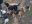 IMG-20220923-WA0000.jpg
