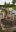 MeggyFleckySorpe_2019-09-23.jpg