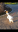 Screenshot_20200121-172425.png