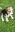 Screenshot_20210802-171156_Gallery.jpg