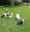 Screenshot_20210802-203606_Gallery.jpg