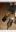 Screenshot_20220405-112457_Gallery.jpg