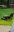 Screenshot_20220507-171649_Gallery.jpg
