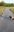 Screenshot_20221006-210718_Gallery.jpg