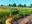 2-DSCN5940.JPG