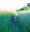 3-DSCN5945-2.JPG