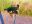 4-DSCN5955.JPG