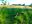 7-DSCN5964.JPG