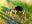 9-DSCN5966.JPG