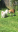 CFE8D212-2AA7-4480-A30F-57F0C74166B9.png