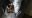 IMG-20180824-WA0013.jpeg