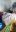 IMG-20191117-WA0001.jpeg