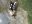 18E3F1C2-7969-4004-BB60-6BED7D264DD5.jpeg