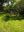 Garten.jpeg