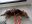 IMG-20191009-WA0008.jpg