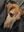 IMG-20191012-WA0004.jpg
