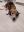 IMG-20191012-WA0011.jpg