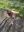 IMG-20191026-WA0004.jpg