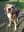 IMG-20191026-WA0008.jpg