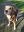 IMG-20191026-WA0021.jpg