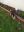 IMG-20210227-WA0017.jpg