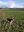 IMG-20210312-WA0004.jpg