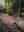 WALD(1)-2.jpeg