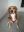 WhatsAppImage2019-06-06at14.54.46.jpeg