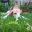 WhatsAppImage2020-10-03at13.31.26.jpeg