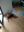spider.jpeg