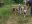 IMG_20220611_173738_2022-06-12.jpg